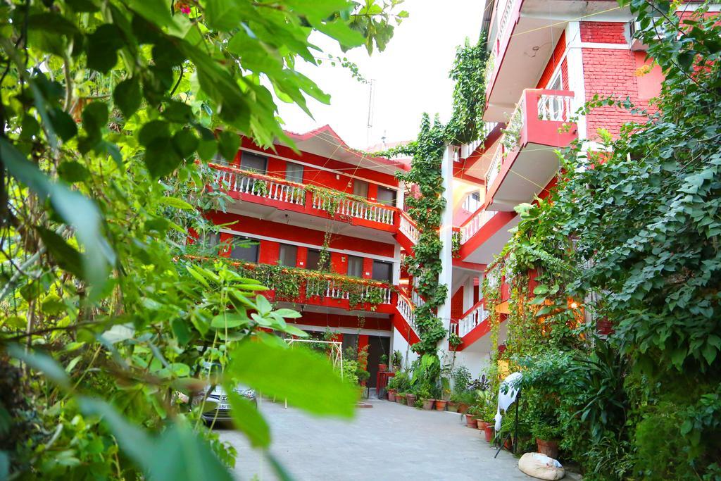 Divine Ganga Cottage Rishīkesh Екстериор снимка