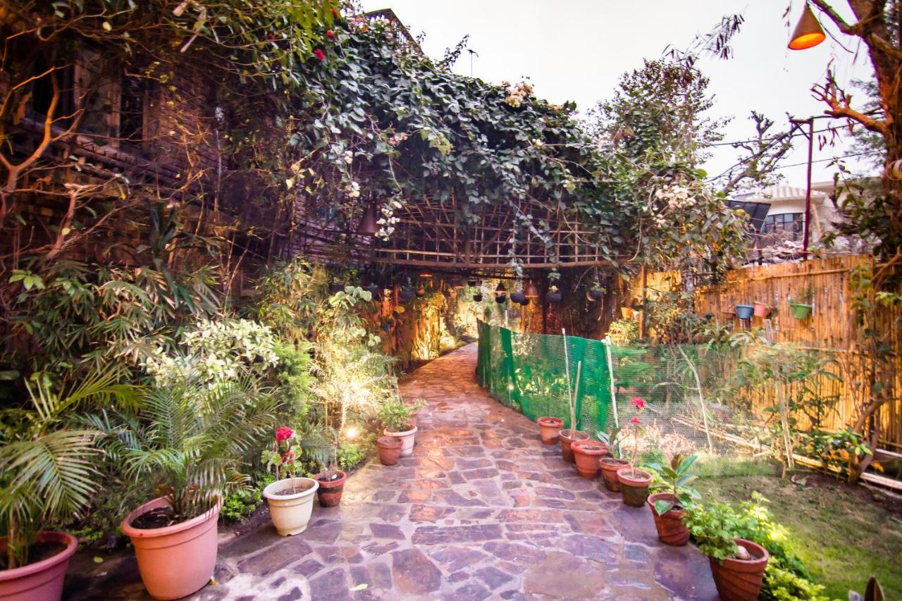 Divine Ganga Cottage Rishīkesh Екстериор снимка
