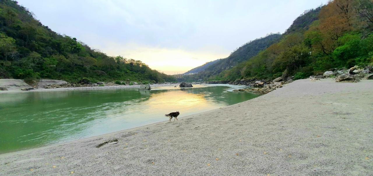 Divine Ganga Cottage Rishīkesh Екстериор снимка